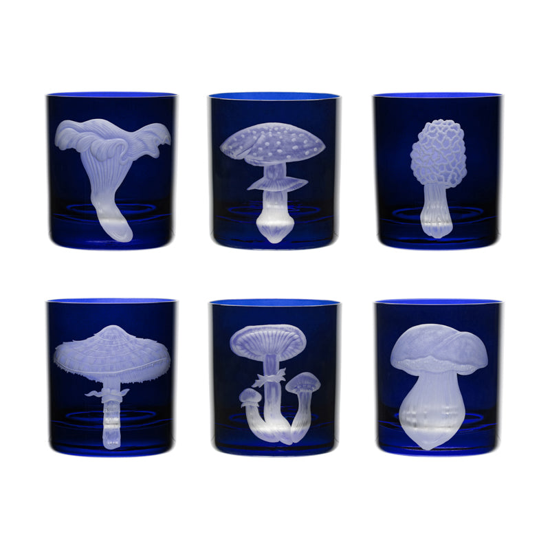 Mushrooms Morel