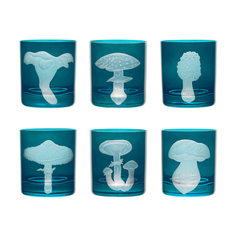 Mushrooms Fly Amanita