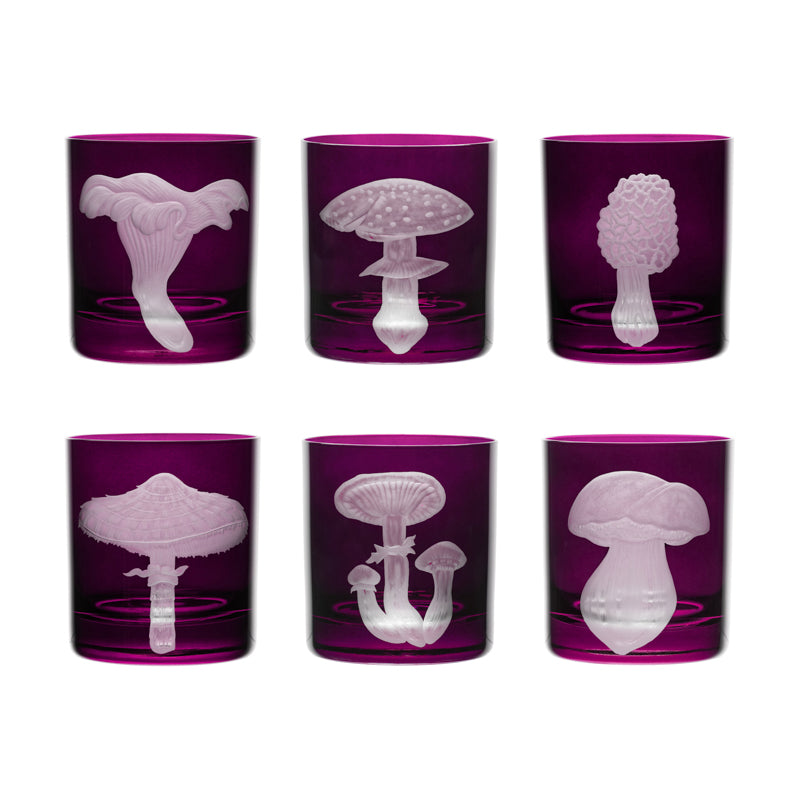 Mushrooms Honey Fungus