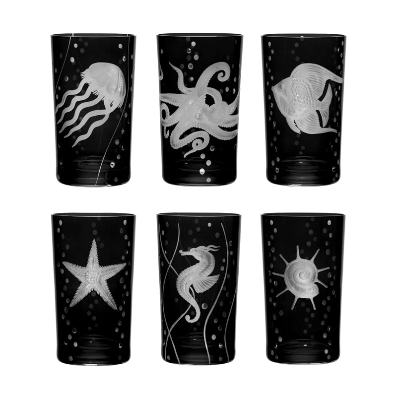 Sea Life Seahorse