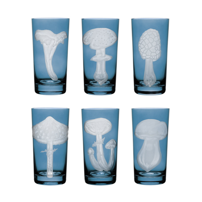 Mushrooms Parasol