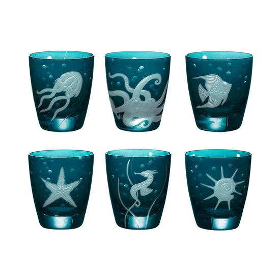 Sea Life Jellyfish