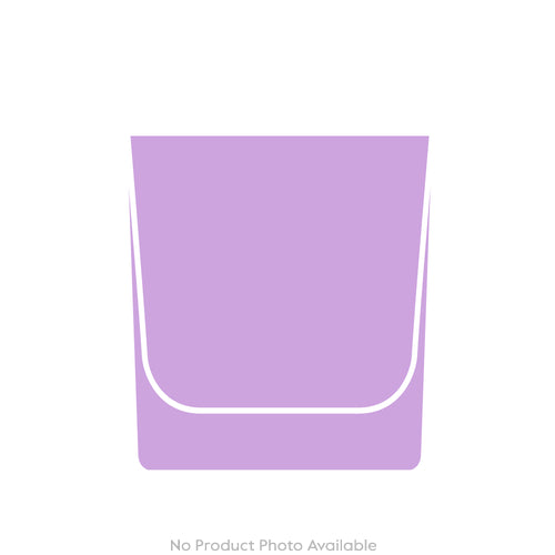 Barnyard Goose