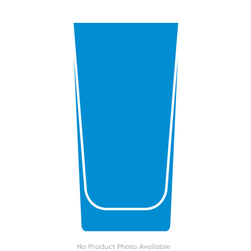 African Safari Lion