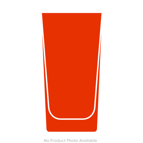 Cabinet of Curiosities Spider