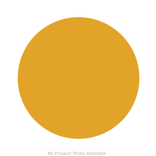Sea Life Seashell