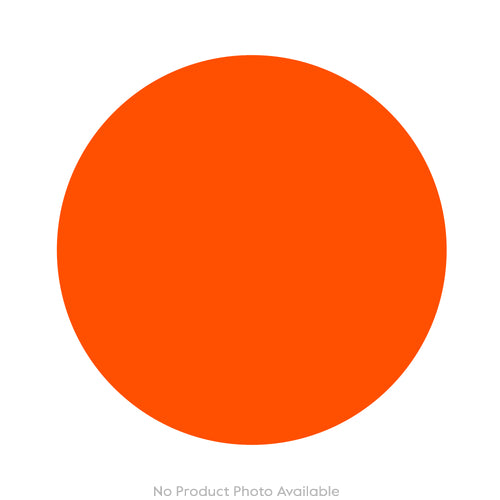 Sea Life Jellyfish