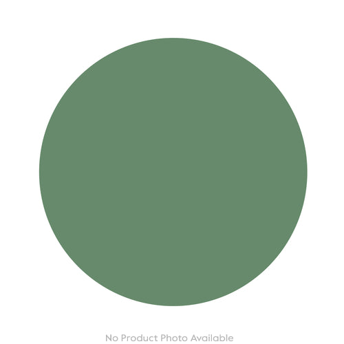 Sea Life Octopus