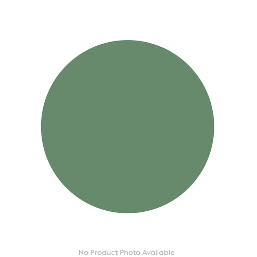 Mushrooms Honey Fungus