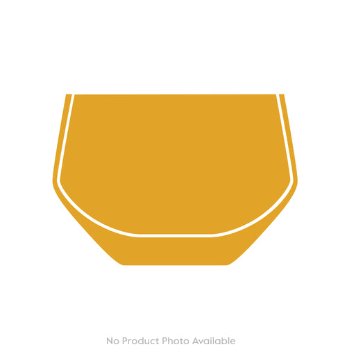 Cabinet of Curiosities Spider
