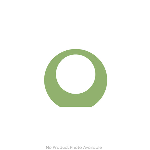 Fly Fusion Mayfly