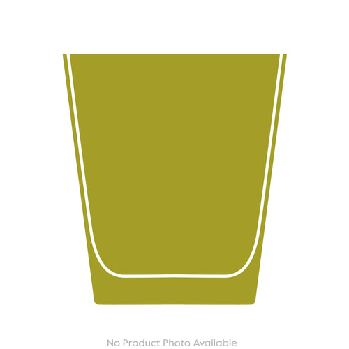 Cabinet of Curiosities Skull